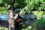 0008 camping l Hippocampe